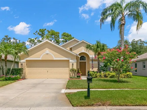 9980 Stockbridge Dr, Tampa, FL 33626