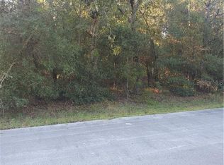 10 Spring Lane Way, Ocala, FL 34472