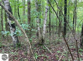 E Broomfield Rd, Mount pleasant, MI 48858