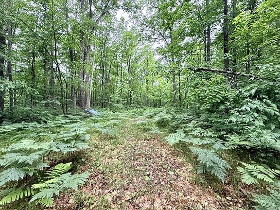3rd image of 8827 N Norwis Road