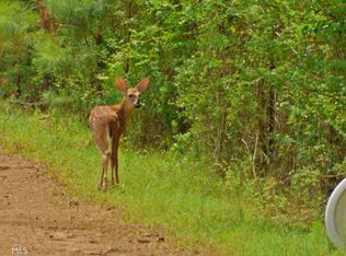 0 W Ball Rd #4, Jackson, GA 30233