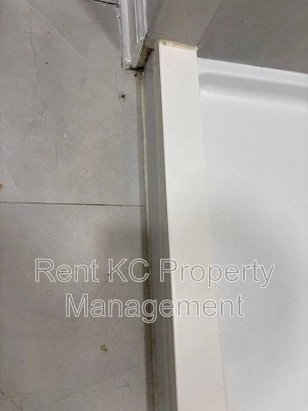 2 bed, 1.0 bath, 832 sqft, $1,250 — Photo 3