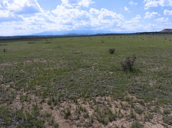 Conductor Ct, Avondale, CO 81022
