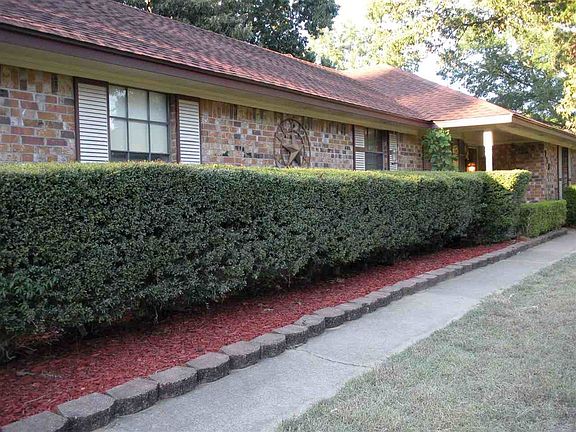 3rd image of 119 Little John Dr