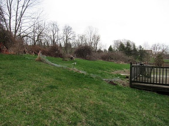 4th image of 4022 Pittsburgh Rd