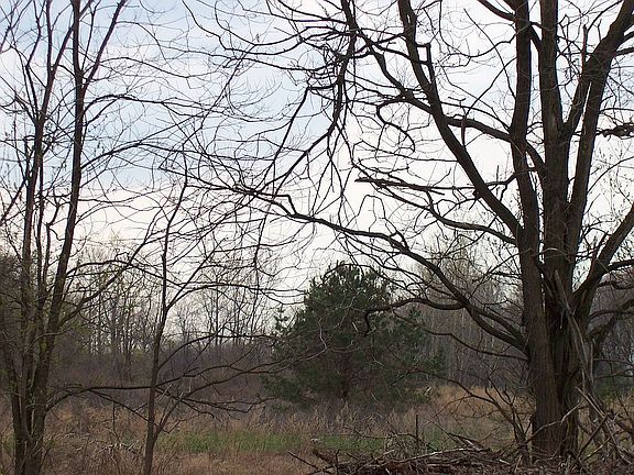 Horse Corral Possible
