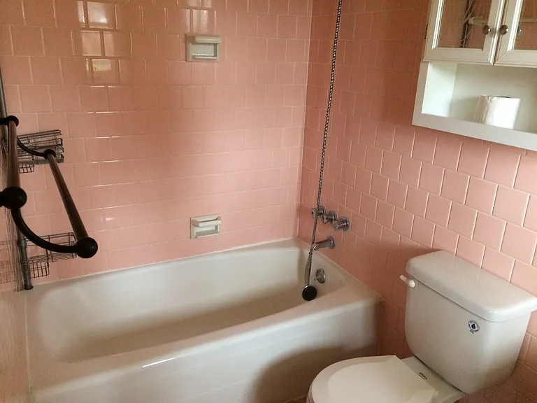 Nicewood Master Bathroom_03212018