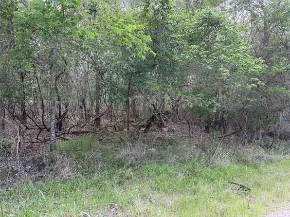 305 Nene Ln, Bastrop, TX 78602