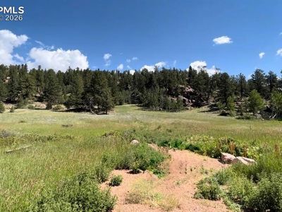 61 Canyon Dr, Florissant, CO, 80816