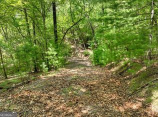 68 Riverwalk On The Ter, Mineral Bluff, GA 30559