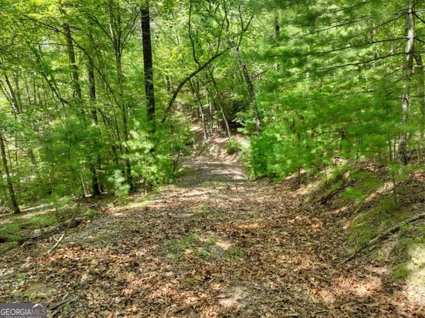 68 Riverwalk On The Ter, Mineral Bluff, GA 30559