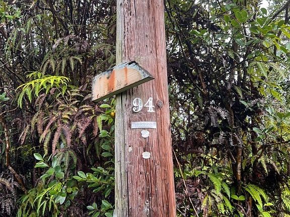 4th image of Lehua St Lot 6919