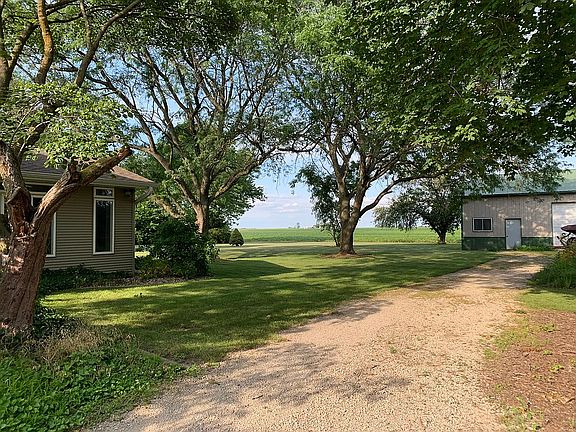 Driveway to shed