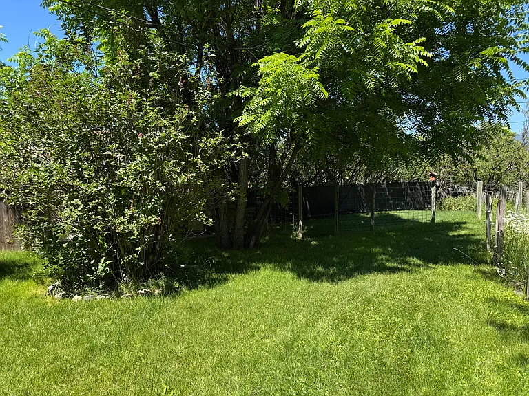 More yard.