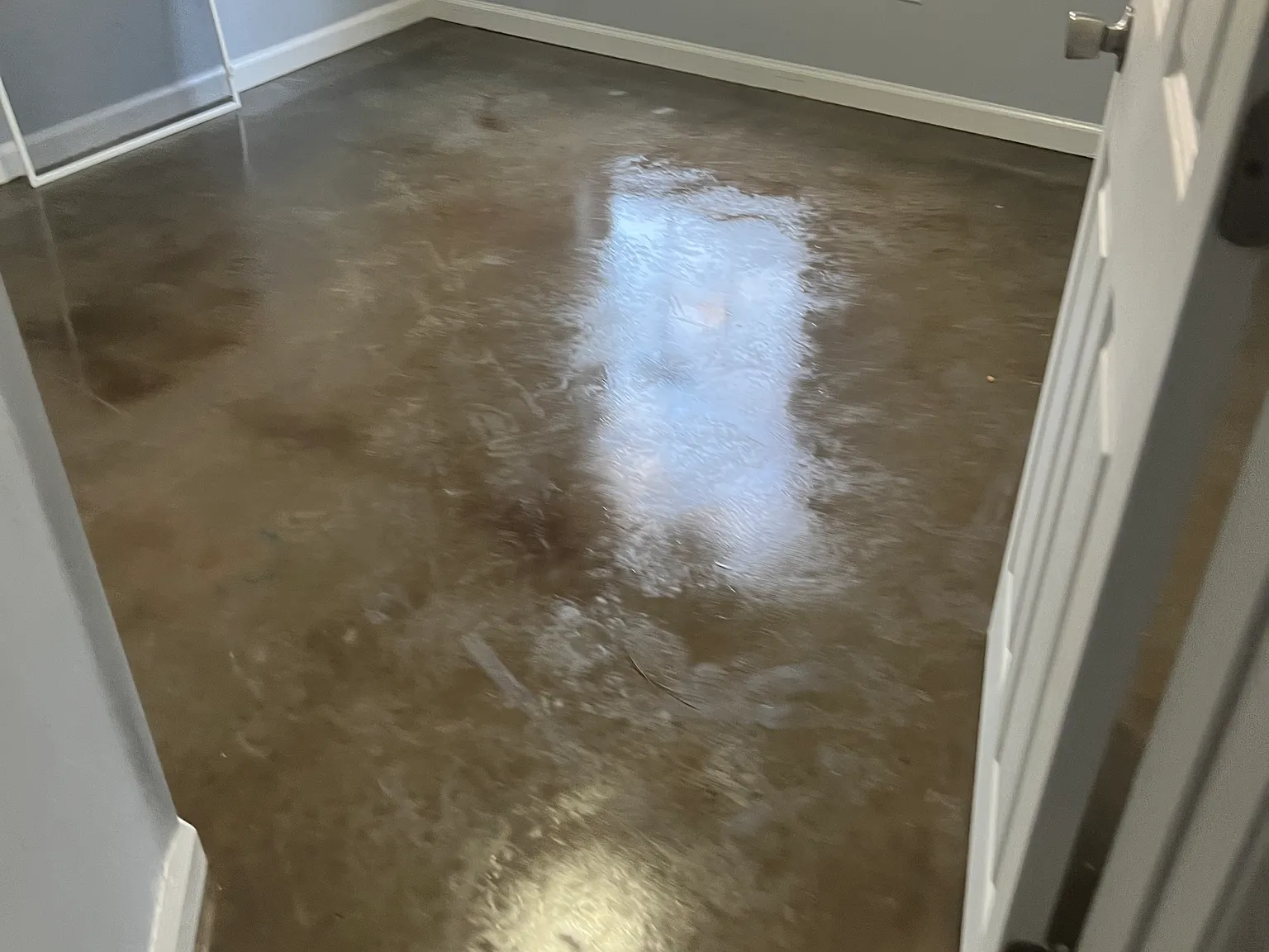 4 bed, 1250 sqft, $1,500 — Photo 4