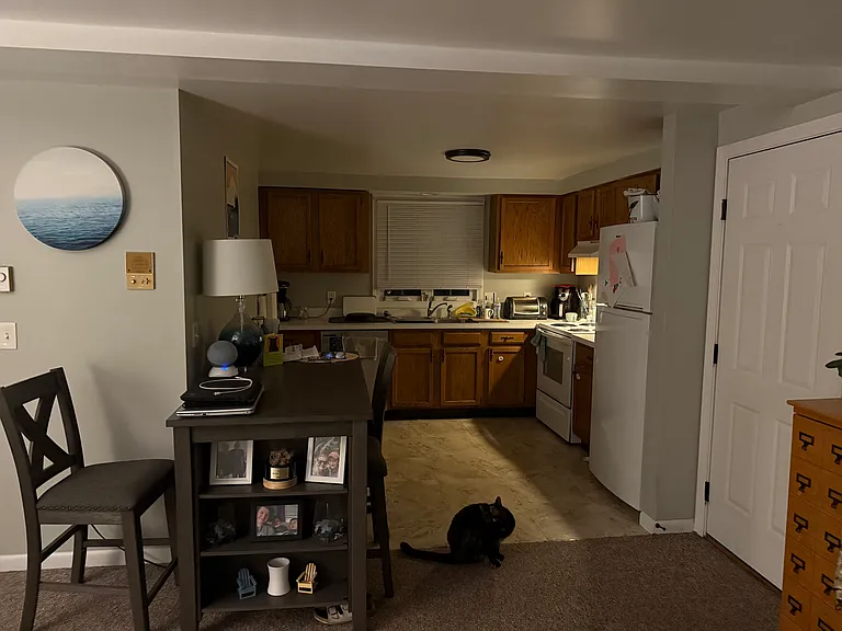 237 Sawyer St — Photo 9