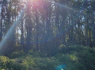 Bamboo Dr LOT 61, Pahoa, HI 96778