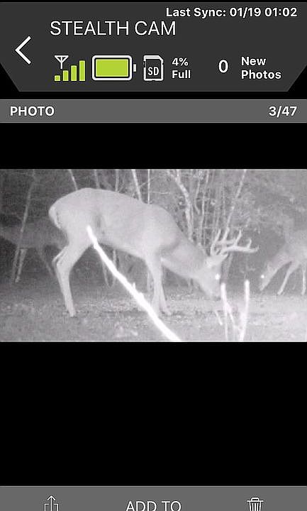 1st image of 425 Woodlands Dr