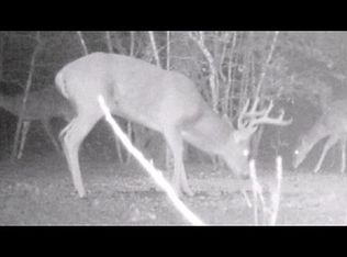 425 Woodlands Dr, Bastrop, TX 78602