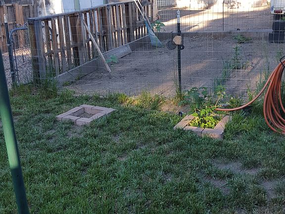 Back yard, garden, & sheds