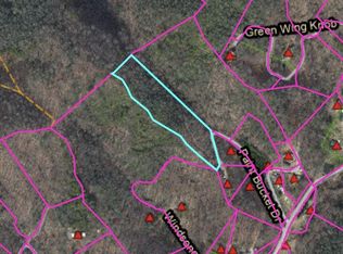 Township Road 4 Paint Bucket Dr, Whittier, NC 28789