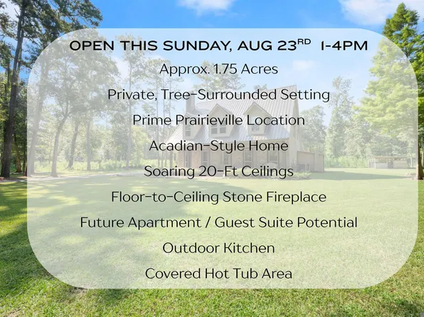 15325 Emmett Moore Dr, Prairieville, LA 70769