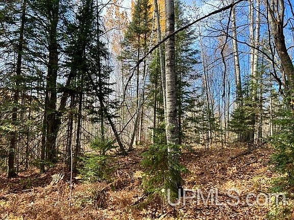 2nd image of PARCEL 4 Crooked Rd