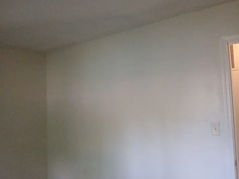 3334 Laurel St — Photo 11