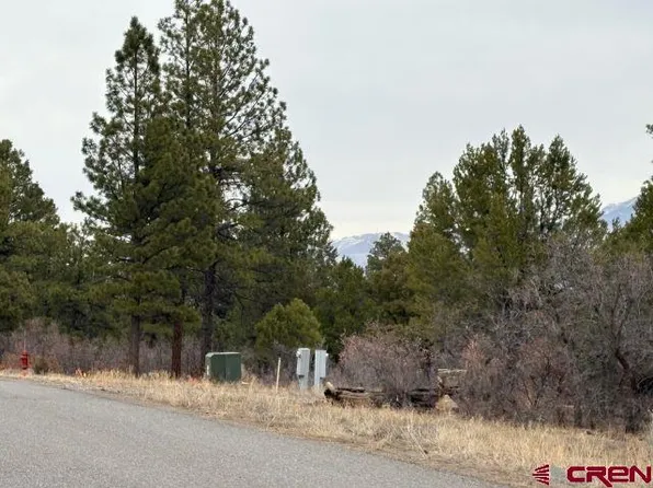102 Big Canyon Point, Ridgway, CO 81432