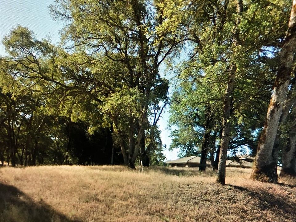 1st image of 12939 Austin Forest Cir