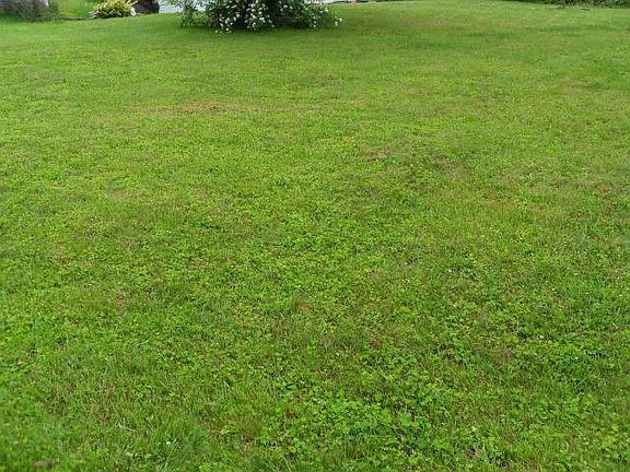 4th image of 1905 Westmoreland Dr