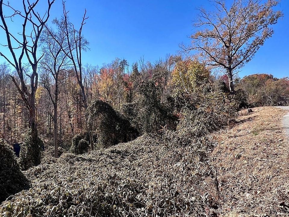 1st image of 810 Park Dr #2