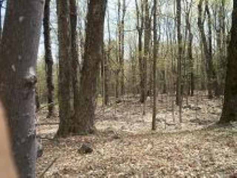3rd image of 00 ROBINSON Road