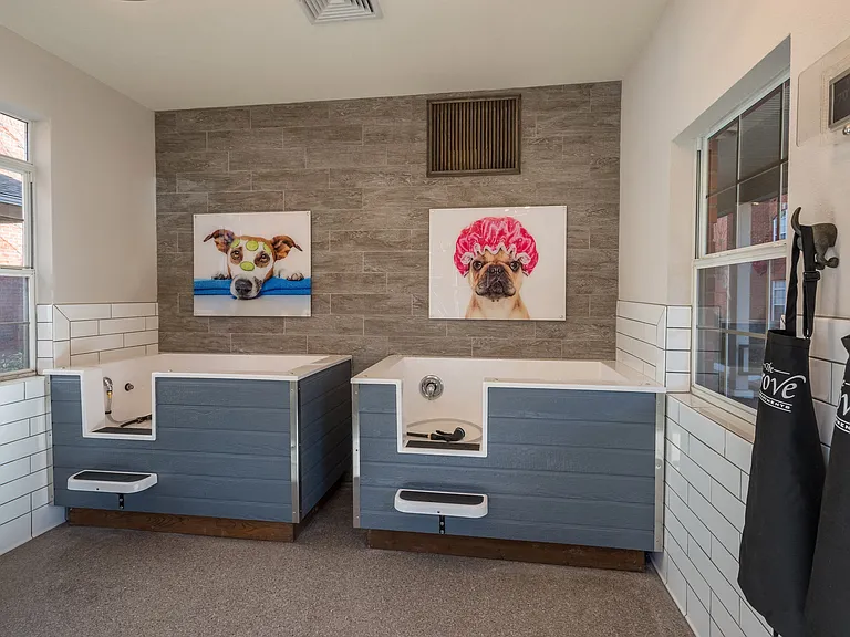 Pampered Paw Pet Spa