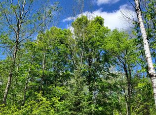 2 Peshtigo River Rd, Goodman, WI 54125