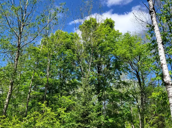 2 Peshtigo River Rd, Goodman, WI 54125