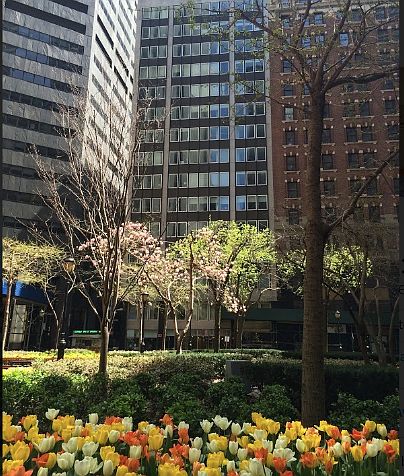 1st image of 90 William St APT 10F