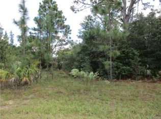8653 N Sanfilippo Loop, Crystal River, FL 34428