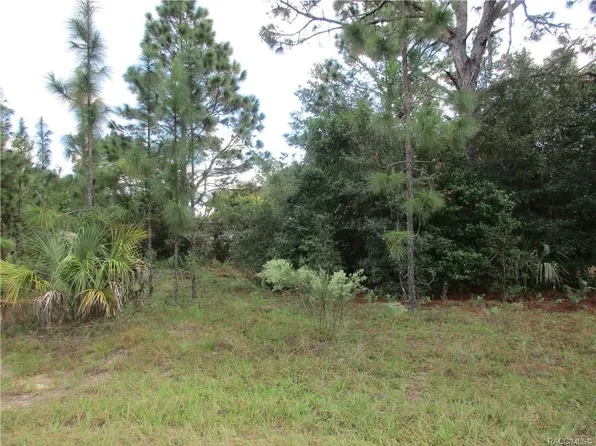 8653 N Sanfilippo Loop, Crystal River, FL 34428