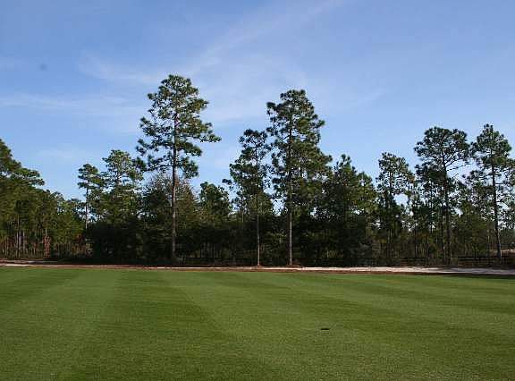 3rd image of Lot 10 Society Rd.