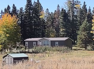 74 Eckart Ln, Durango, CO 81301
