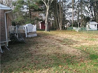 Rear yard