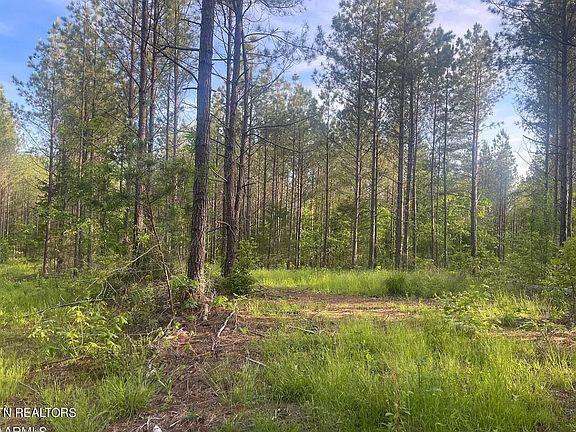 2nd image of County Road 226