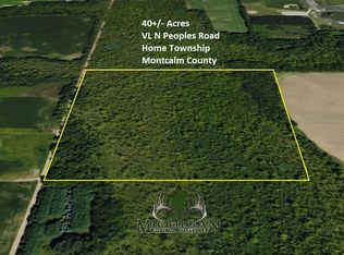 N Peoples Rd, Edmore, MI 48829