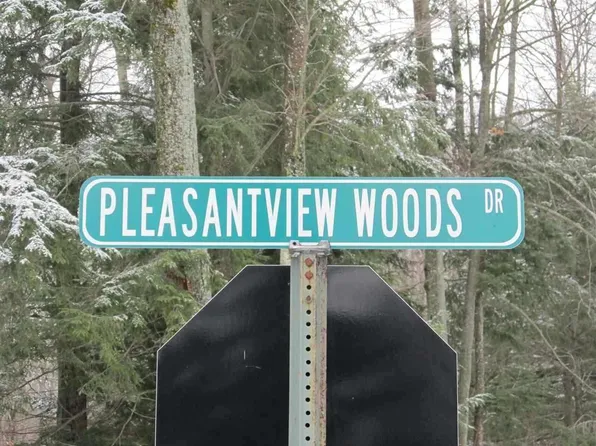 8031 Pleasantview Woods Dr, Harbor Springs, MI 49740