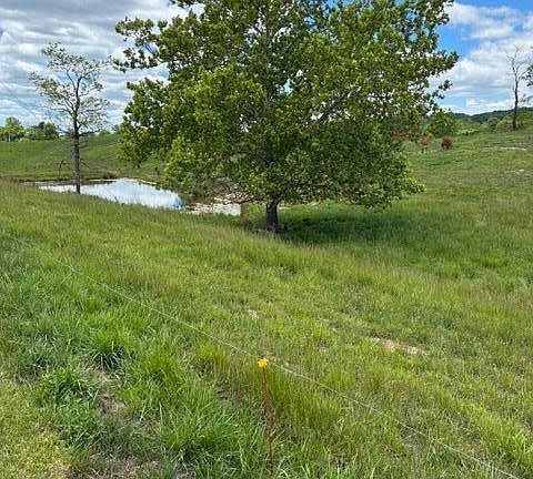 2nd image of 4110 Clinch Valley Rd