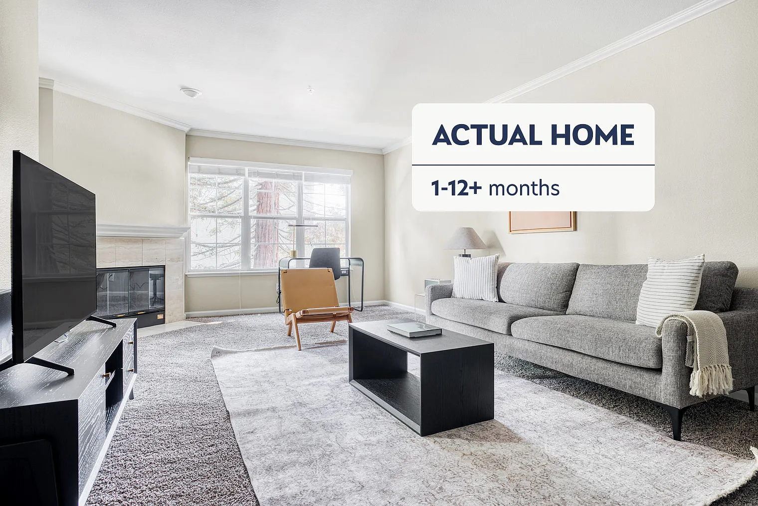 1 bed, 1.0 bath, 735 sqft, $3,500 — Photo 1