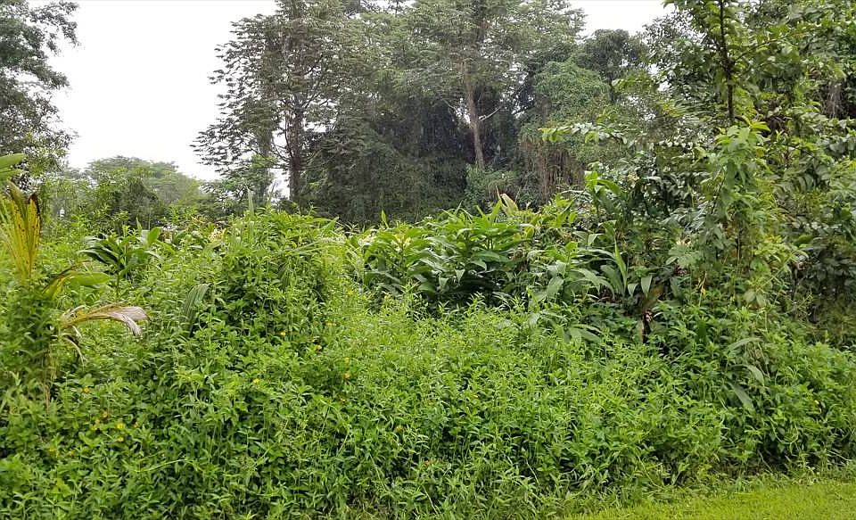 1st image of Hinalea St Lot 21