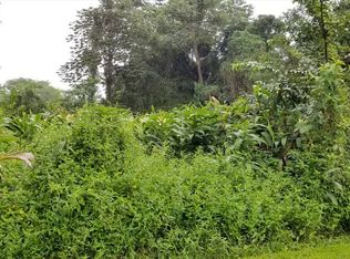 Hinalea St LOT 21, Pahoa, HI 96778