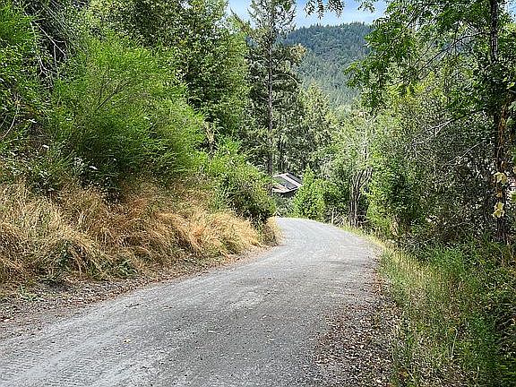 4th image of 50 Marigold Ln